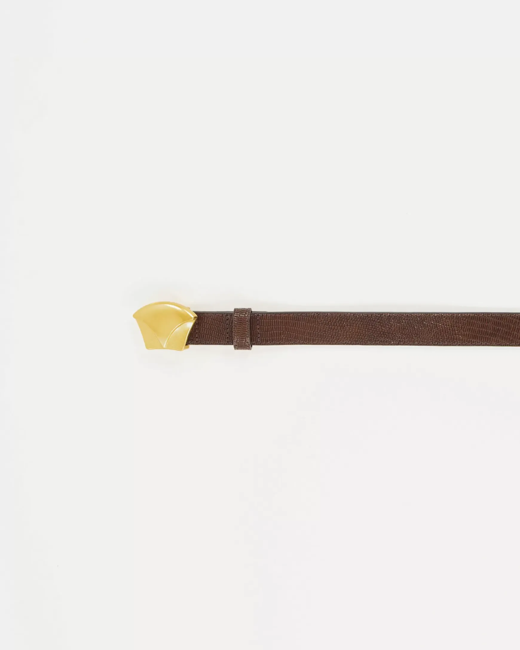 Best Sessùn Diviluz belt Brownylézard