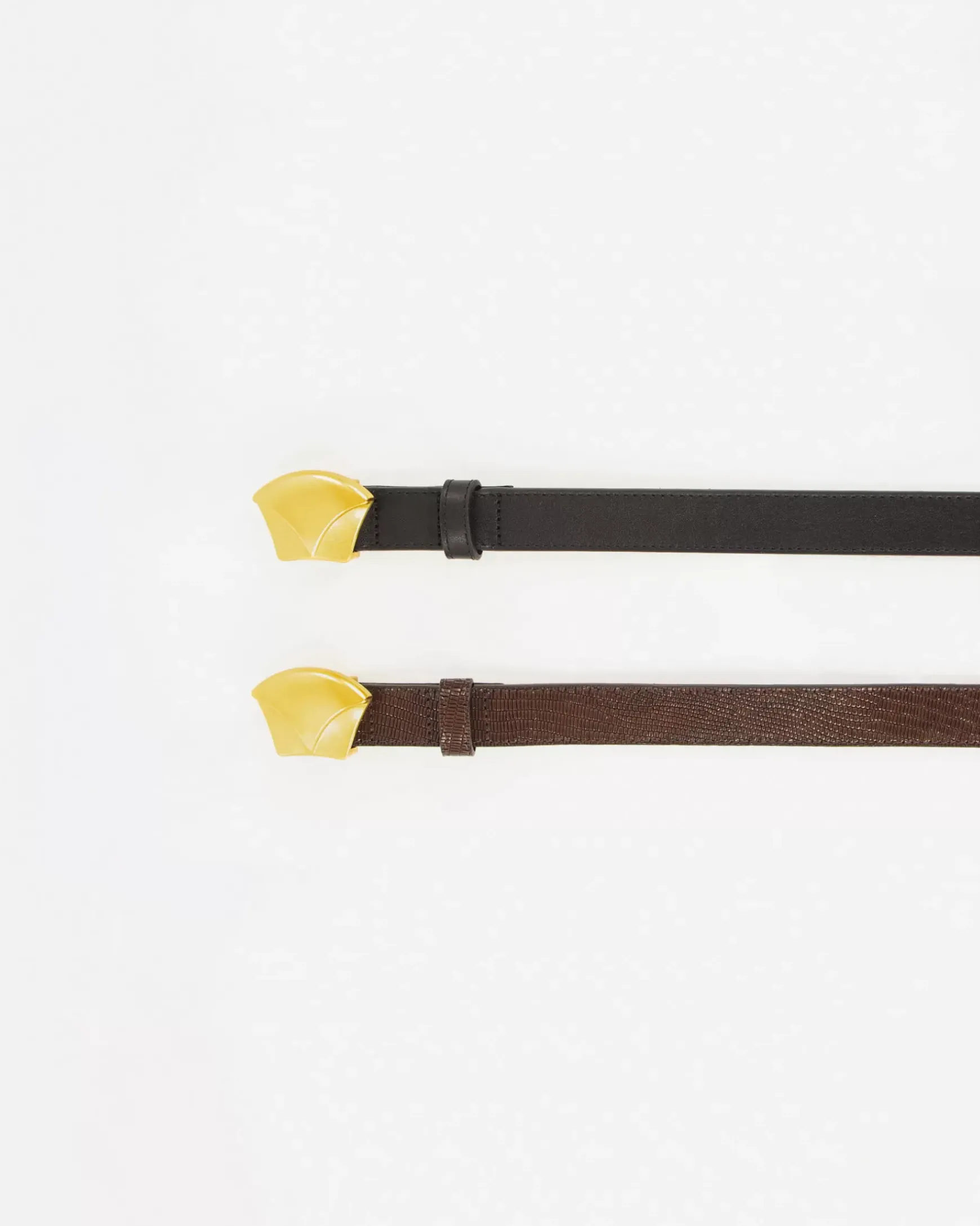 Best Sessùn Diviluz belt Brownylézard
